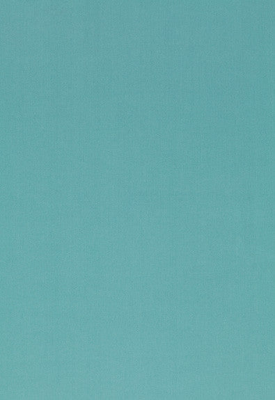 Luana Mate 54384 by Schumacher Fabric Luxury-Chenille 60% Cotton, 40% Rayon Wyzenbeek 27,000 Horizontal: 1/4- and Vertical: 3/8- 54 - Fabric Carolina -