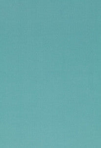 Luana Mate 54384 by Schumacher Fabric