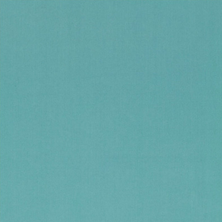 Luana Mate 54384 by Schumacher Fabric LUXURY CHENILLES COTTON 60% RAYON 40% UNITED STATES OF AMERICA WYZENBEEK 27,000 </p><p>Repeat: Horizontal: 1/4" (1CM) and Vertical: 3/8" (1CM) 54 - Fabric Carolina -
