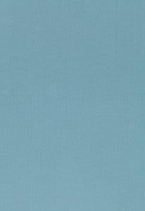 Luana Brown 54385 by Schumacher Fabric