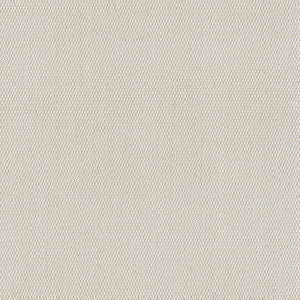 5453 77 Canvas by Sunbrella Fabric Rain