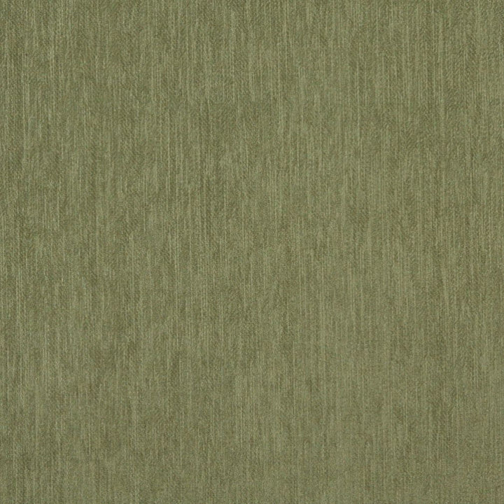 5457 Meadow by Charlotte Fabric Ring Book Page #30 100% Woven Polyester Asia Exceeds 90,000 Wyzenbeek Rubs (Heavy Duty) No Repeat 54 Inches - Fabric Carolina -
