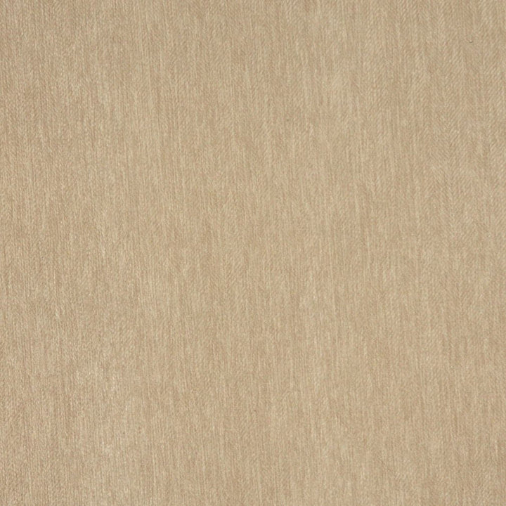 5458 Sand by Charlotte Fabric Ring Book Page #30 100% Woven Polyester Asia Exceeds 90,000 Wyzenbeek Rubs (Heavy Duty) No Repeat 54 Inches - Fabric Carolina -