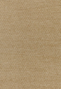 Pavia Parchment 54612 by Schumacher Fabric
