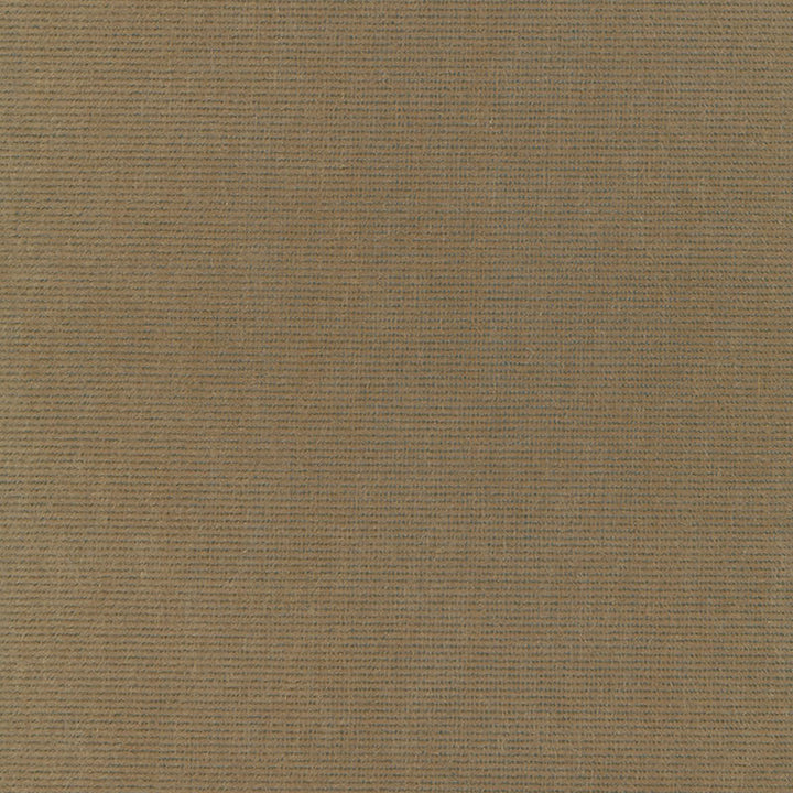 Chiaroscuro Velvet Mink 54885 by Schumacher Fabric ESSENTIAL VELVETS See Sample BELGIUM HEAVY DUTY </p><p>Repeat: Horizontal: - and Vertical: - 54" WIDE (137CM) - Fabric Carolina -