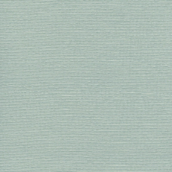 Delacroix Silk Ottoman Aquamarine 54961 by Schumacher Fabric Schumacher Fabric Delacroix Silk Ottoman Aquamarine 54961Fabric COTTON 85% INDIA </p><p>Repeat: H: , V: 54 - Fabric Carolina -
