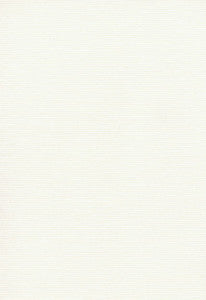 Delacroix Silk Ottoman Ivory 54962 by Schumacher Fabric