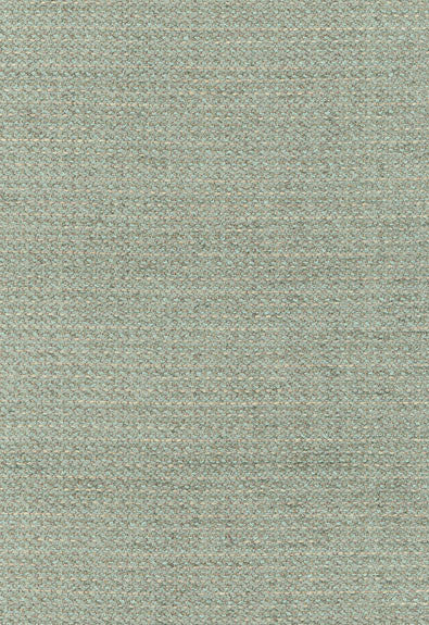 Ashmont Chenille Mineral 55173 by Schumacher Fabric Chroma 63% Rayon, 26% Polyester, 10% Cotton, 1% Nylon Wyzenbeek 45,000 Horizontal: - and Vertical: - 53 - Fabric Carolina -