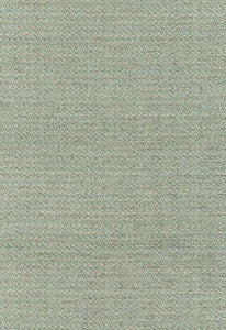Ashmont Chenille Mineral 55173 by Schumacher Fabric