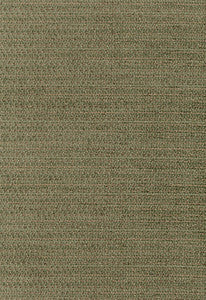 Ashmont Chenille Nile 55174 by Schumacher Fabric