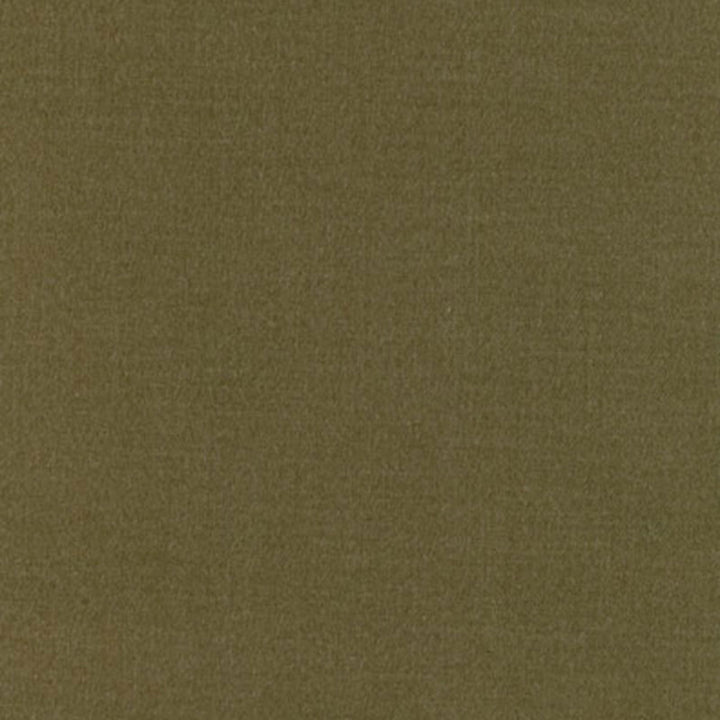 Amherst Satin Moss 55264 by Schumacher Fabric CHROMA See Sample BRAZIL MEDIUM DUTY </p><p>Repeat: Horizontal: - and Vertical: - 55" WIDE (140CM) - Fabric Carolina -