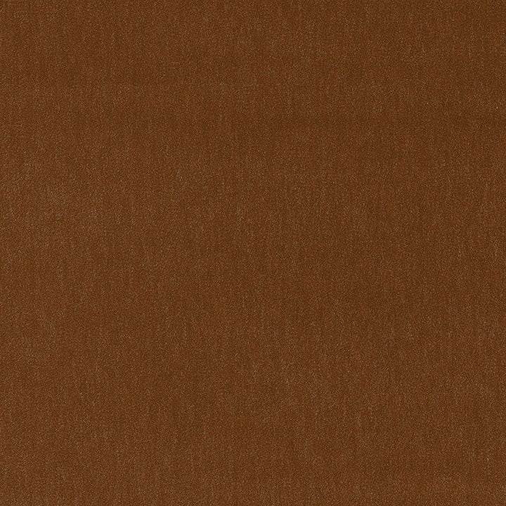 Alpaca Velvet Praline 55272 by Schumacher Fabric Schumacher Fabric Alpaca Velvet Praline 55272Fabric ALPACA 60% BELGIUM </p><p>Repeat: H: , V: 54 - Fabric Carolina -