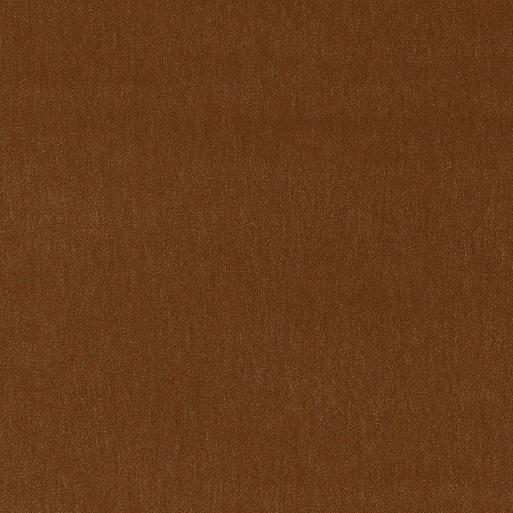 Alpaca Velvet Praline 55272 by Schumacher Fabric OPULENT TEXTURES See Sample BELGIUM HEAVY DUTY </p><p>Repeat: Horizontal: - and Vertical: - 54" WIDE (137CM) - Fabric Carolina -