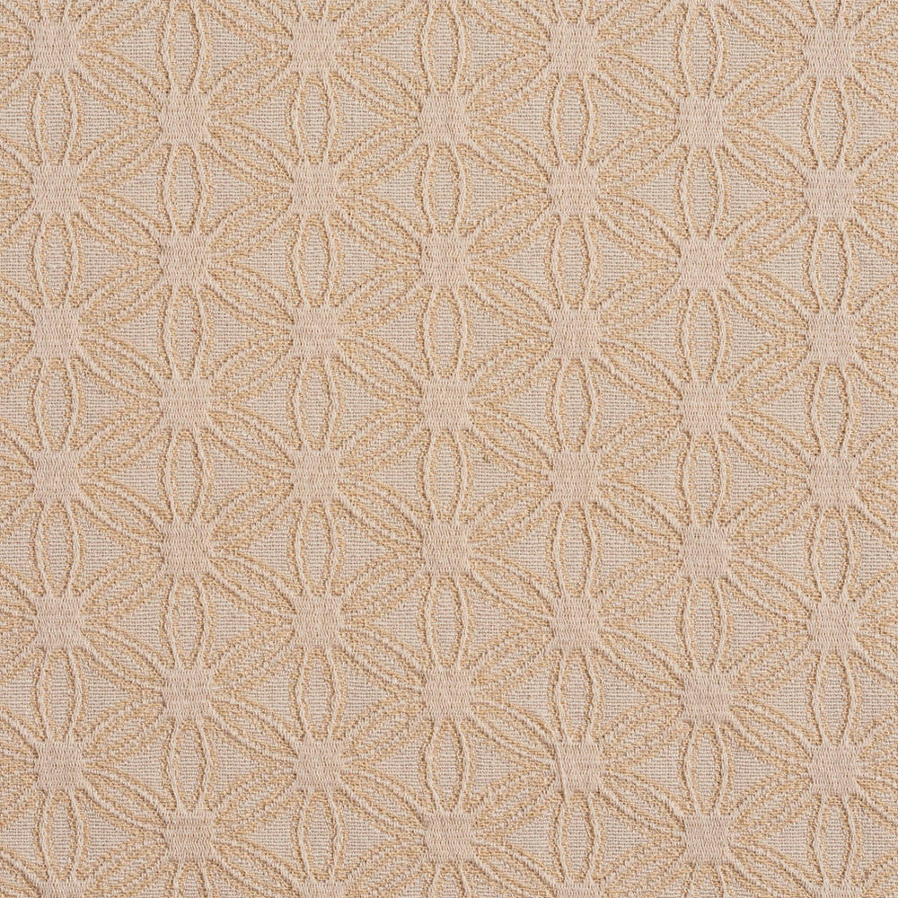 5529 Ivory/Charm by Charlotte Fabric Enchanted Gardens 75% Cotton, 25% Polyester Asia Exceeds 70,000 Wyzenbeek Rubs (Heavy Duty) Horizontal: 2.5" x Vertical: 1.5" 54 Inches - Fabric Carolina -