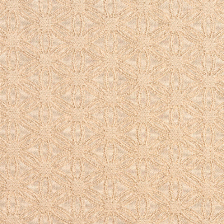5535 Natural/Charm by Charlotte Fabric Enchanted Gardens 75% Cotton, 25% Polyester Asia Exceeds 70,000 Wyzenbeek Rubs (Heavy Duty) Horizontal: 2.5" x Vertical: 1.5" 54 Inches - Fabric Carolina -
