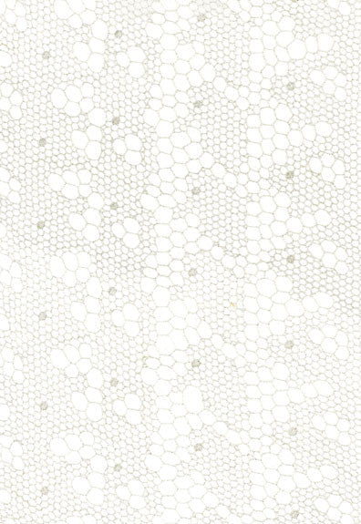 Tracery Lace Silver 55490 by Schumacher Fabric - 80% Viscose, 20% Polyester - Horizontal: 12.5 and Vertical: 3 50 - Fabric Carolina -