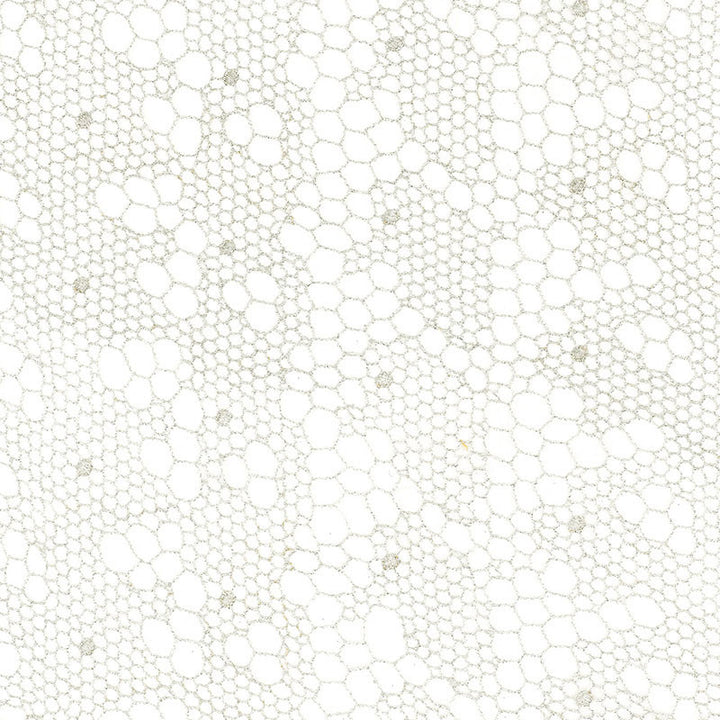 Tracery Lace Silver 55490 by Schumacher Fabric MODERN WOVENS See Sample FRANCE . </p><p>Repeat: Horizontal: 12 1/2" (32CM) and Vertical: 3" (8CM) 50" WIDE (127CM) - Fabric Carolina -