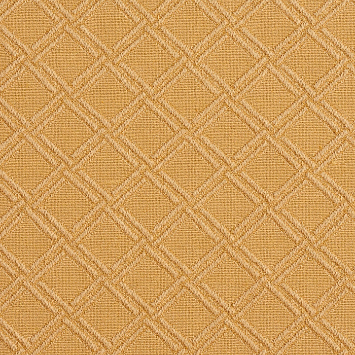 5550 Gold/Diamond by Charlotte Fabric Enchanted Gardens 75% Cotton, 25% Polyester Asia Exceeds 70,000 Wyzenbeek Rubs (Heavy Duty) Horizontal: 1.5" x Vertical: 1.5" 54 Inches - Fabric Carolina -
