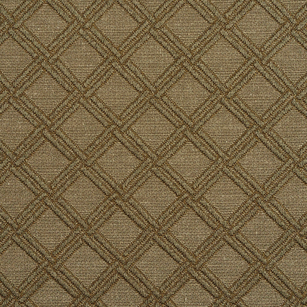 5551 Sage/Diamond by Charlotte Fabric Enchanted Gardens 75% Cotton, 25% Polyester Asia Exceeds 70,000 Wyzenbeek Rubs (Heavy Duty) Horizontal: 1.5" x Vertical: 1.5" 54 Inches - Fabric Carolina -