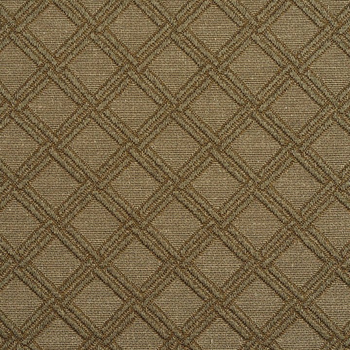 5551 Sage/Diamond by Charlotte Fabric Enchanted Gardens 75% Cotton, 25% Polyester Asia Exceeds 120,000 Wyzenbeek Rubs (Heavy Duty) </p><p>Repeat: Horizontal: 1.5" x Vertical: 1.5" 54 Inches - Fabric Carolina -