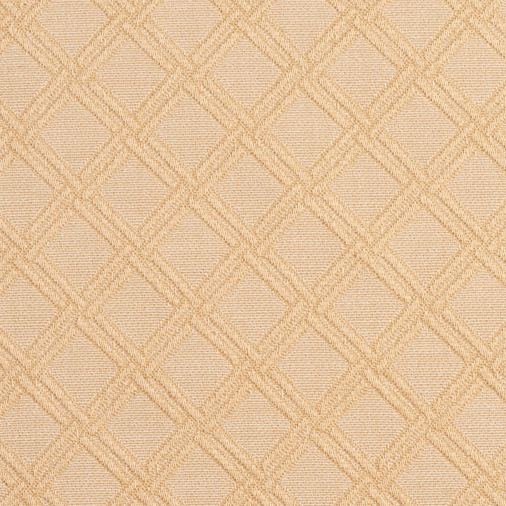 5553 Natural/Diamond by Charlotte Fabric Enchanted Gardens 75% Cotton, 25% Polyester Asia Exceeds 70,000 Wyzenbeek Rubs (Heavy Duty) Horizontal: 1.5" x Vertical: 1.5" 54 Inches - Fabric Carolina -