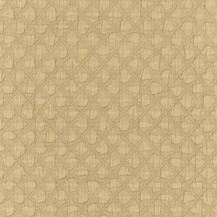 Lucca Matelasse Antelope 55581 by Schumacher Fabric PALAZZO COTTON 100% ITALY MARTINDALE 9,000 </p><p>Repeat: Horizontal: 1/2" (1CM) and Vertical: 5/8" (2CM) 51 - Fabric Carolina -