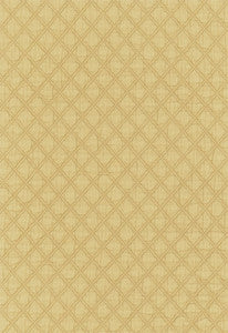 Lucca Matelasse Chamois 55582 by Schumacher Fabric