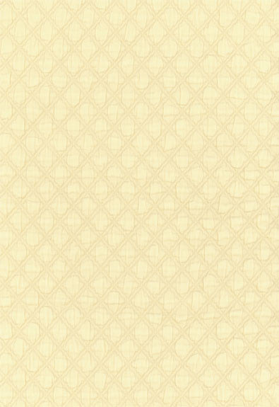 Lucca Matelasse Ivory 55583 by Schumacher Fabric Palazzo 100% Cotton Martindale 9,000 Horizontal: 1/2- and Vertical: 5/8- 51 - Fabric Carolina -