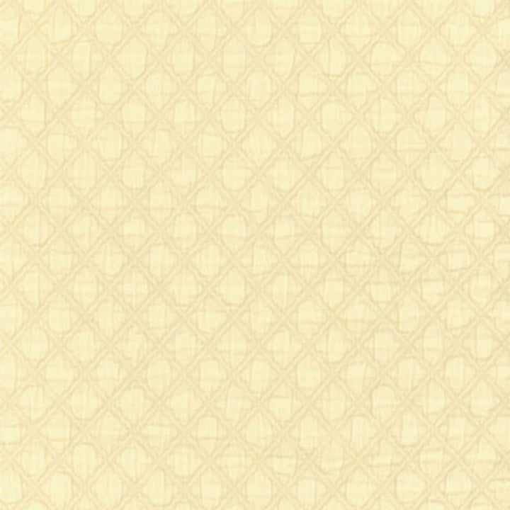 Lucca Matelasse Ivory 55583 by Schumacher Fabric PALAZZO COTTON 100% ITALY MARTINDALE 9,000 </p><p>Repeat: Horizontal: 1/2" (1CM) and Vertical: 5/8" (2CM) 51 - Fabric Carolina -