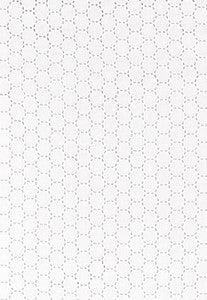 Anastasia Eyelet White 55600 by Schumacher Fabric