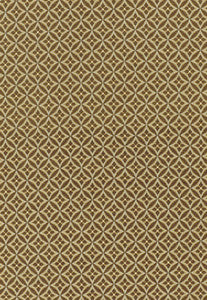 Martine Weave Lichen 55720 by Schumacher Fabric