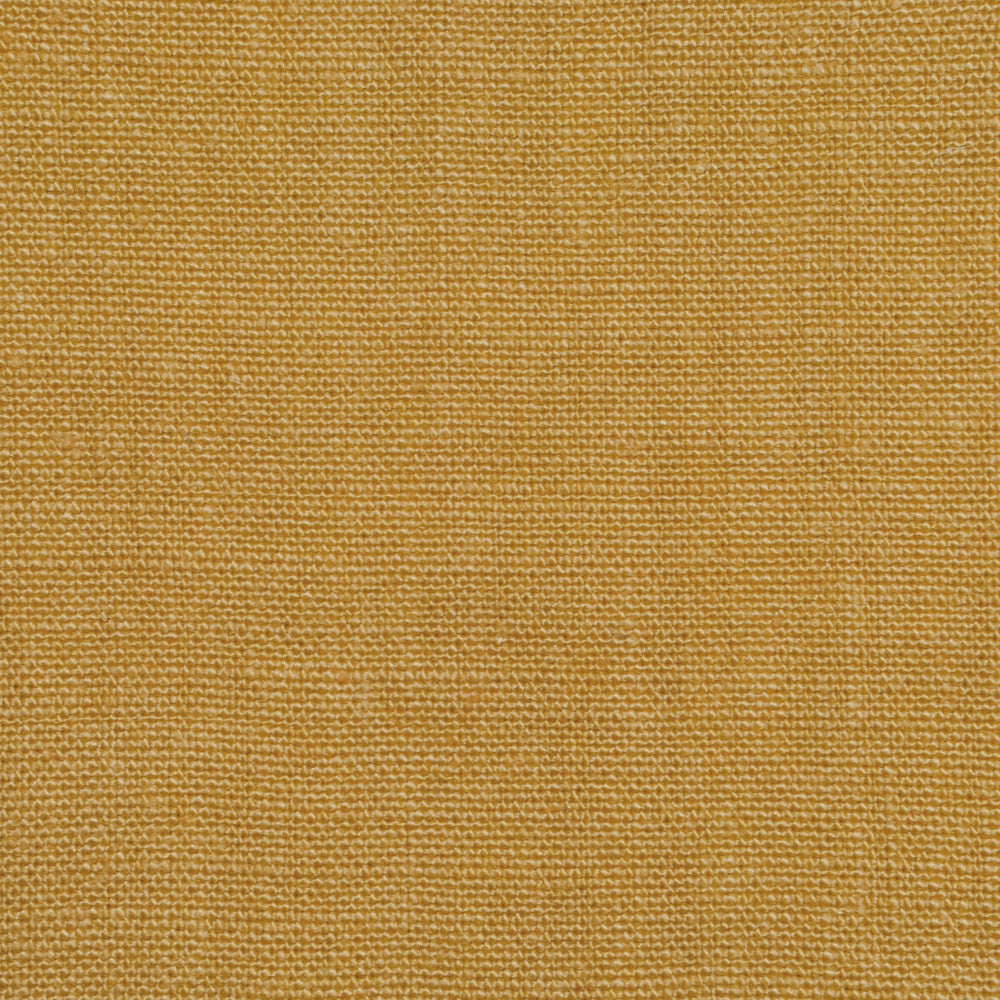 Don Giovanni Sunshine 150 by P Kaufmann Fabrics Fabric