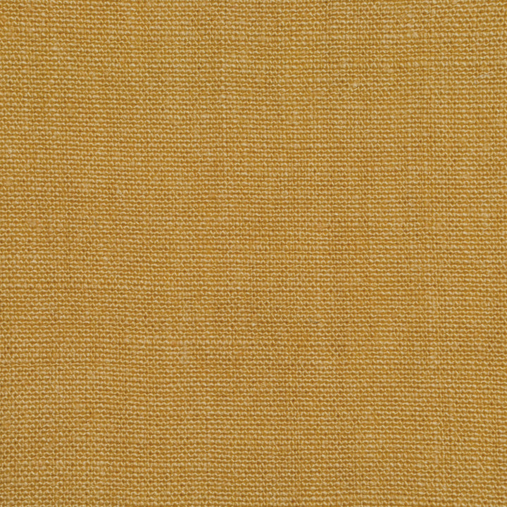Don Giovanni Sunshine 150 by P Kaufmann Fabrics Fabric