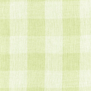 Melinda Sheer Check Sage 55801 by Schumacher Fabric