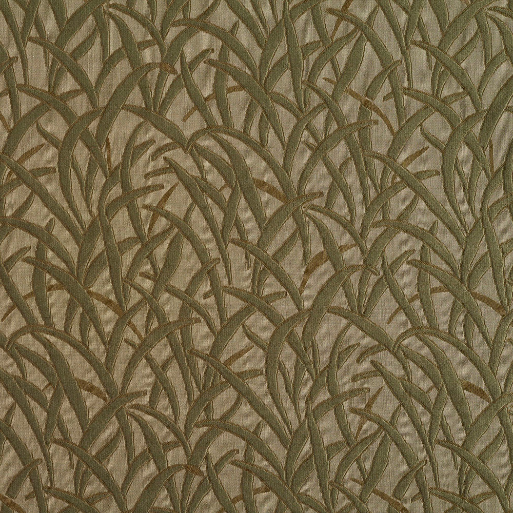 5588 Sage/Meadow by Charlotte Fabric Enchanted Gardens 75% Cotton, 25% Polyester Asia Exceeds 70,000 Wyzenbeek Rubs (Heavy Duty) Horizontal: 13.5" x Vertical: 14" 54 Inches - Fabric Carolina -