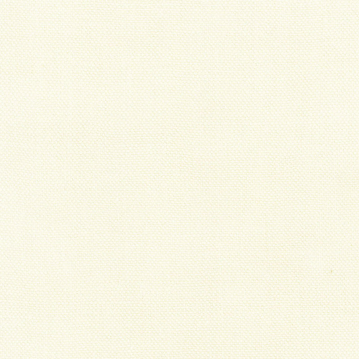 Ramsey Jute Plain Cream 55931 by Schumacher Fabric NATURALS / PLAINS See Sample INDIA HEAVY DUTY </p><p>Repeat: Horizontal: - and Vertical: - 54" WIDE (137CM) - Fabric Carolina -