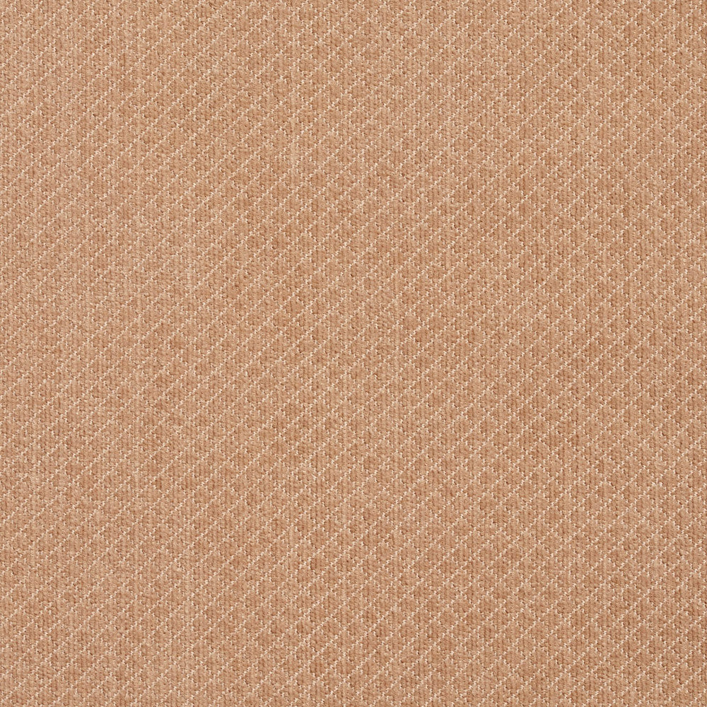 5594 Sand by Charlotte Fabric Ring Book Page #29 100% Woven Polyester Asia Exceeds 100,000 Wyzenbeek Rubs (Heavy Duty) </p><p>Repeat: Horizontal: .25" x Vertical: .25" 54 Inches - Fabric Carolina -