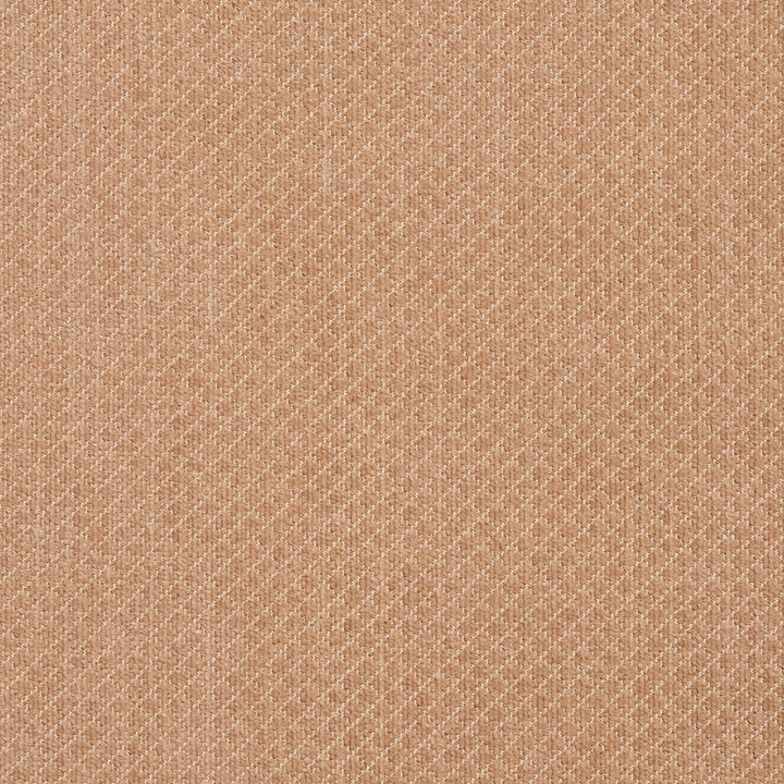 5594 Sand by Charlotte Fabric Ring Book Page #29 100% Woven Polyester Asia Exceeds 100,000 Wyzenbeek Rubs (Heavy Duty) Horizontal: 0.25" x Vertical: 0.25" 54 Inches - Fabric Carolina -