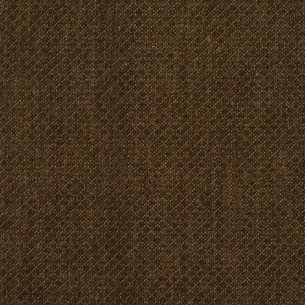 5595 Spruce by Charlotte Fabric Ring Book Page #29 100% Woven Polyester Asia Exceeds 100,000 Wyzenbeek Rubs (Heavy Duty) Horizontal: 0.25" x Vertical: 0.25" 54 Inches - Fabric Carolina -