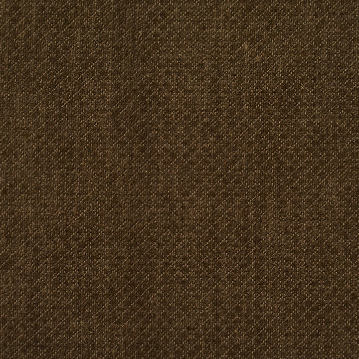 5595 Spruce by Charlotte Fabric Ring Book Page #29 100% Woven Polyester Asia Exceeds 100,000 Wyzenbeek Rubs (Heavy Duty) Horizontal: 0.25" x Vertical: 0.25" 54 Inches - Fabric Carolina -