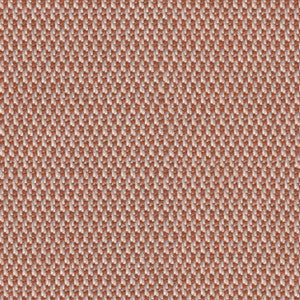 Lopi Fawn R081 by Sunbrella European Fabric