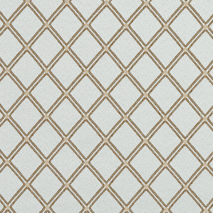 5615 Mist/Classic by Charlotte Fabric Dazzling Damasks II 100% Woven Polyester Asia Exceeds 48,000 Wyzenbeek Rubs (Heavy Duty) Horizontal: 2" x Vertical: 1.75" 54 Inches - Fabric Carolina -