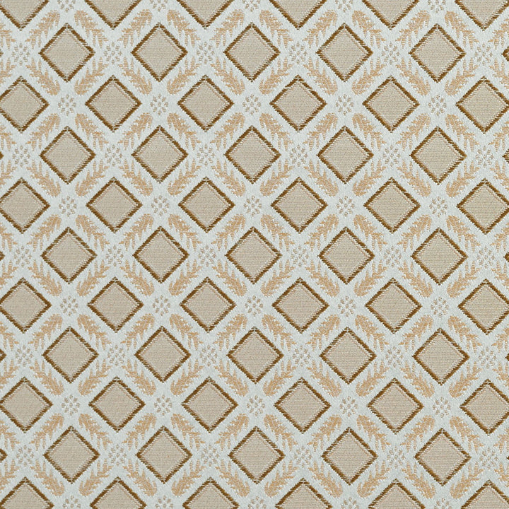 5639 Mist/Trellis by Charlotte Fabric Dazzling Damasks II 100% Woven Polyester Asia Exceeds 48,000 Wyzenbeek Rubs (Heavy Duty) Horizontal: 2" x Vertical: 2" 54 Inches - Fabric Carolina -