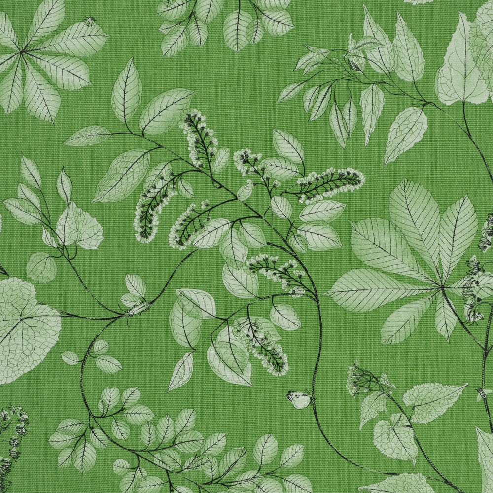 Arboretum Meadow Fm Nc19 6 by P Kaufmann Fabrics Fabric
