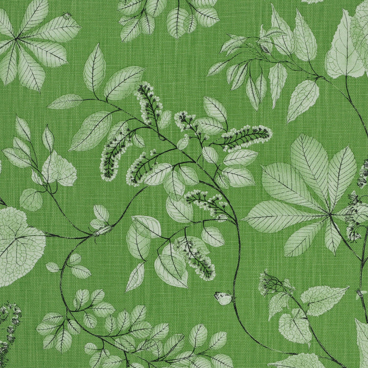 Arboretum Meadow Fm Nc19 6 by P Kaufmann Fabrics Fabric