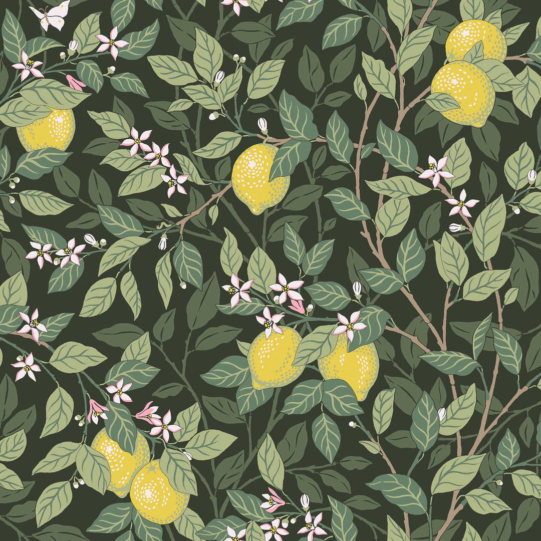 Citronträd - Green by Schumacher Wallcovering