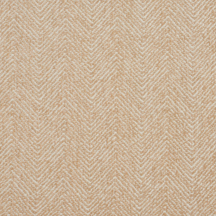 5731 Natural by Charlotte Fabric Ring Book Page #18A 100% Woven Polyester Asia Exceeds 100,000 Wyzenbeek Rubs (Heavy Duty) Horizontal: 2.5" 54 Inches - Fabric Carolina -