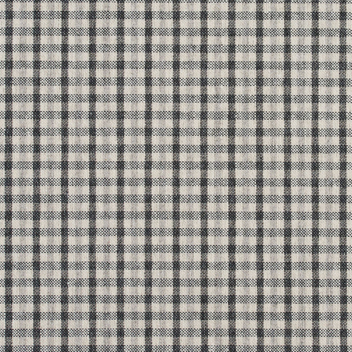 5810 Sterling Check by Charlotte Fabric Classic Patterns 52% Polyester, 48% Cotton Made In USA Exceeds 200,000 Wyzenbeek Rubs (Heavy Duty) </p><p>Repeat: Horizontal: .5" X Vertical: .25" 54 Inches - Fabric Carolina -