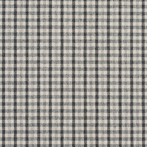 5810 Sterling Check by Charlotte Fabric