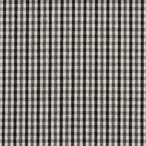 5815 Onyx Check by Charlotte Fabric